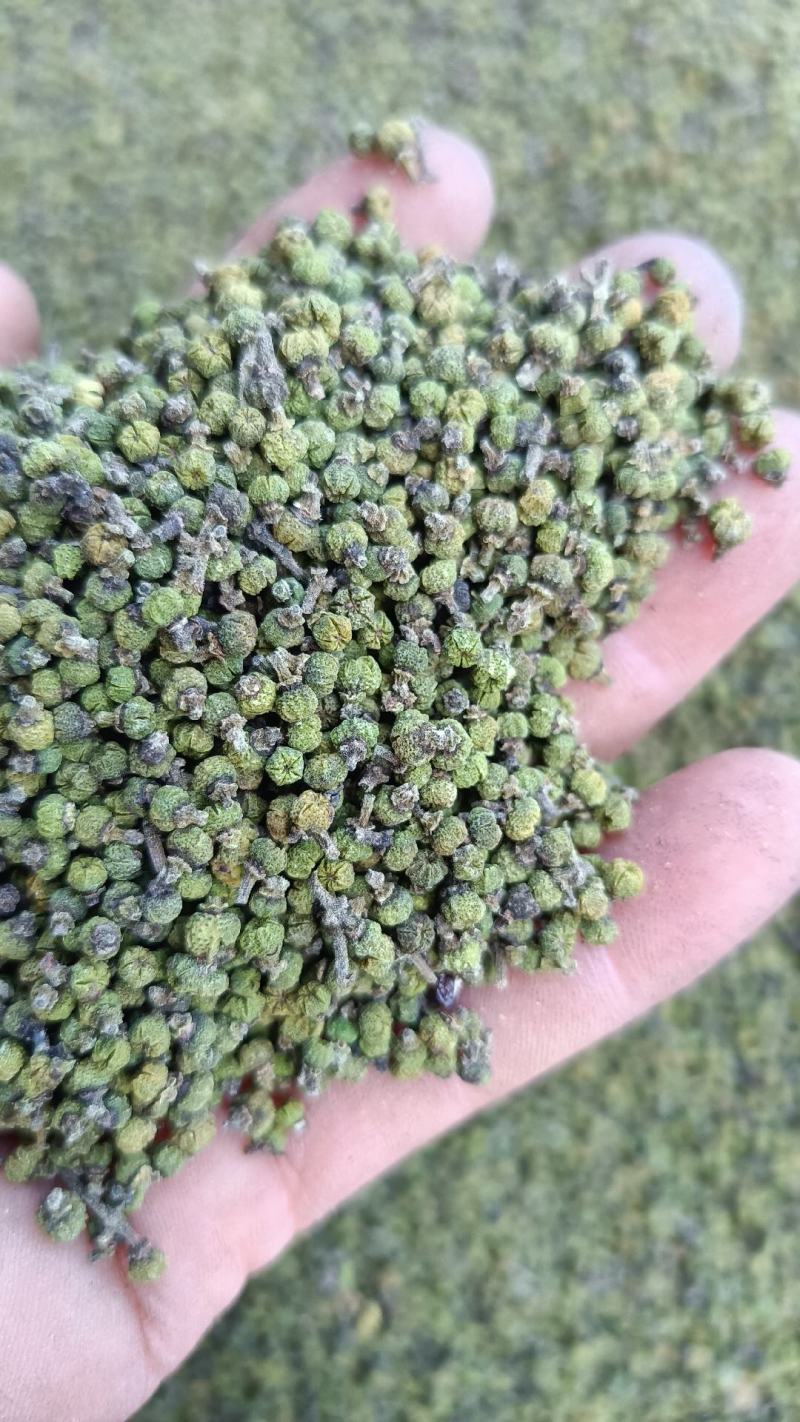茣茱萸