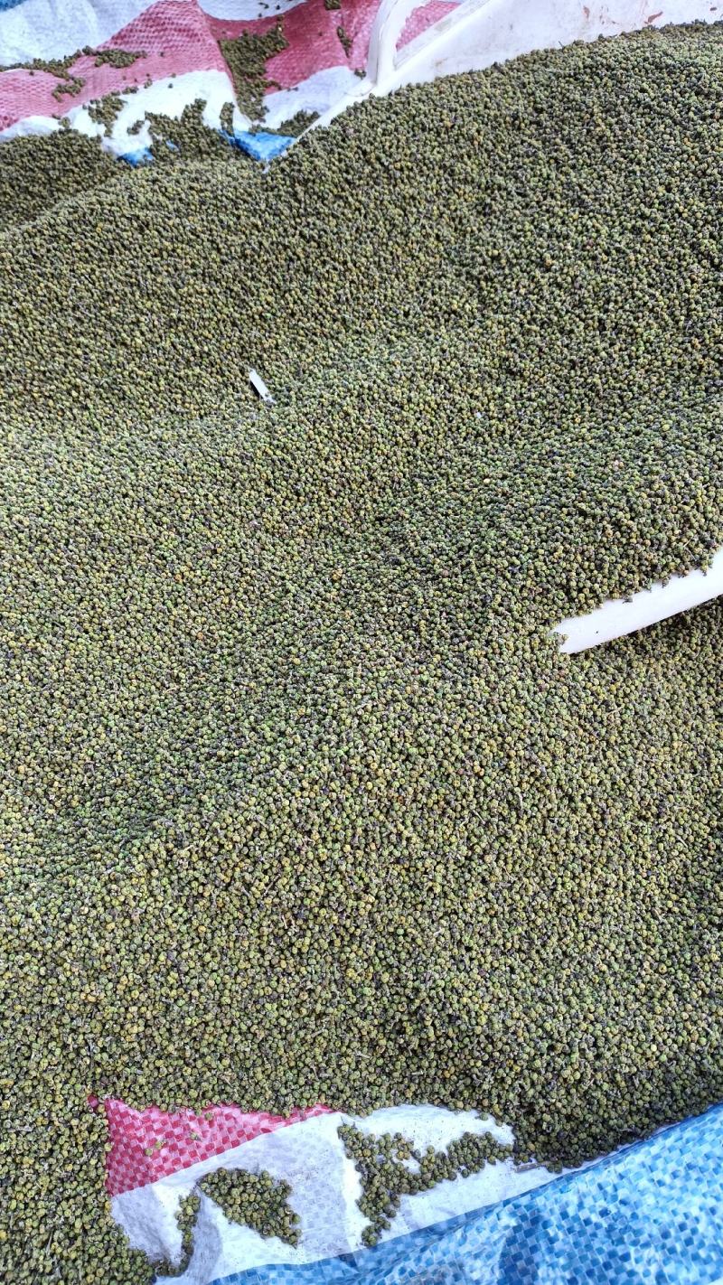 茣茱萸