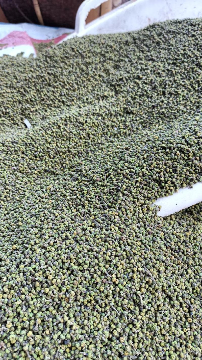 茣茱萸