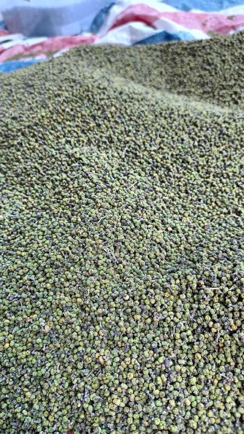 茣茱萸