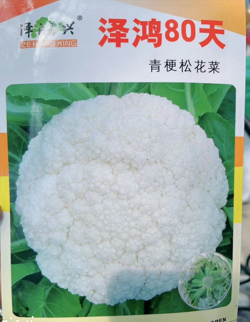 青梗松花菜苗80天菜花苗耐寒有机菜花苗小米粒花菜苗