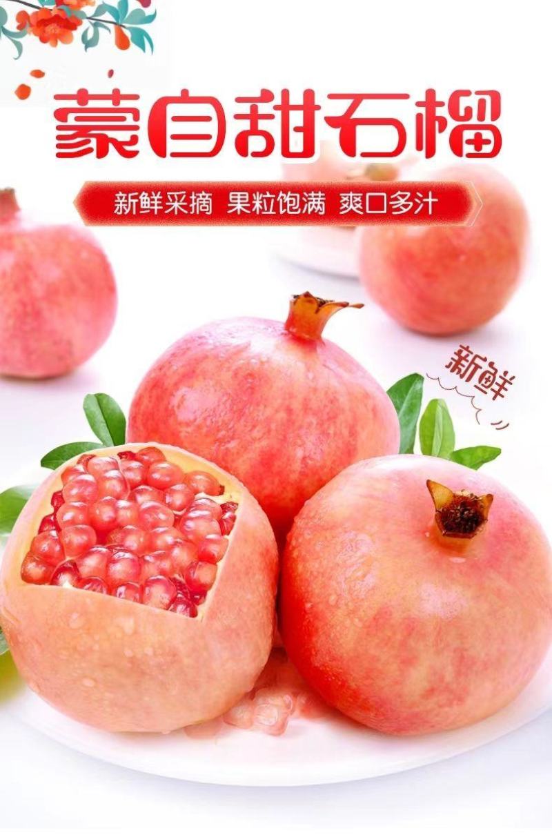荥阳河阴软籽石榴3-5-9斤一件代发突尼斯软籽石榴
