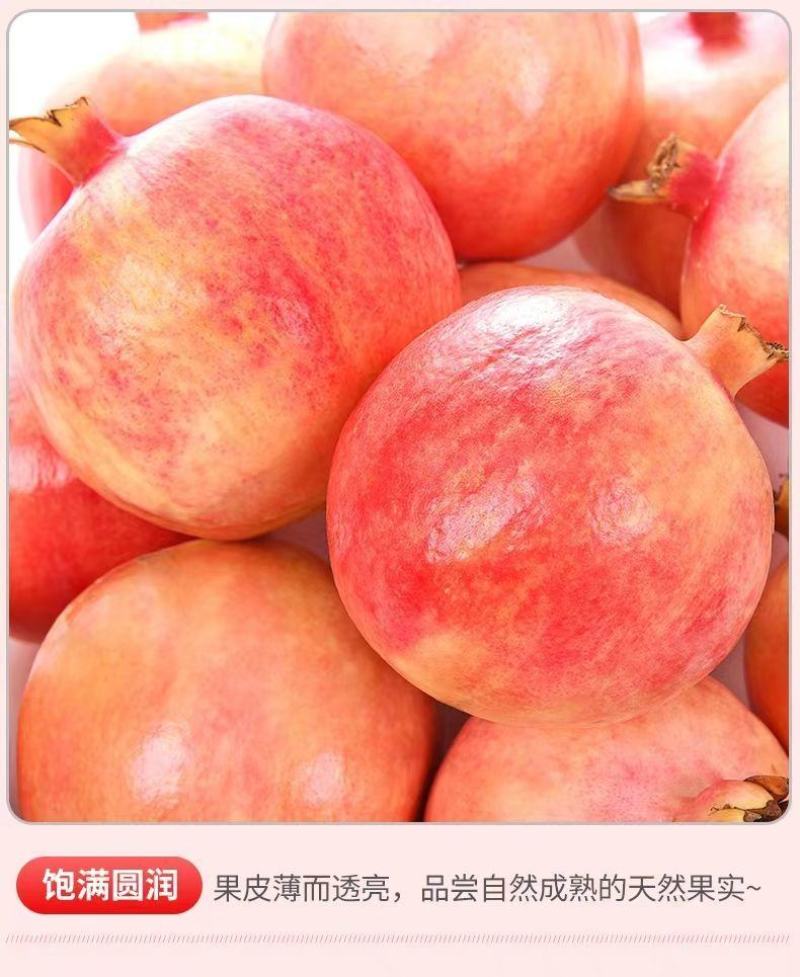 荥阳河阴软籽石榴3-5-9斤一件代发突尼斯软籽石榴