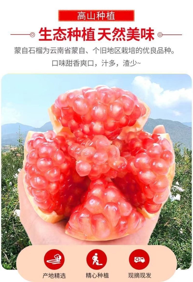 荥阳河阴软籽石榴3-5-9斤一件代发突尼斯软籽石榴