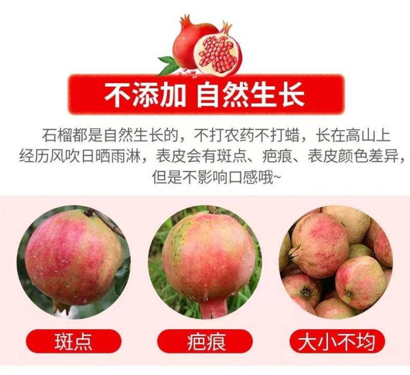 荥阳河阴软籽石榴3-5-9斤一件代发突尼斯软籽石榴