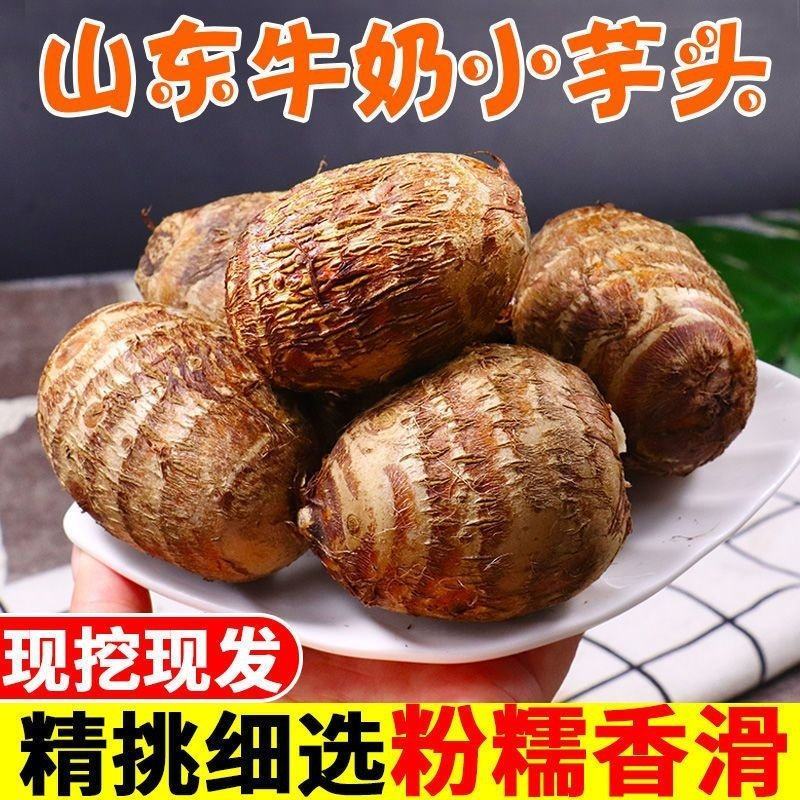 毛芋头，芋头种子产地直供全国批发大量有货电商批发均可供应