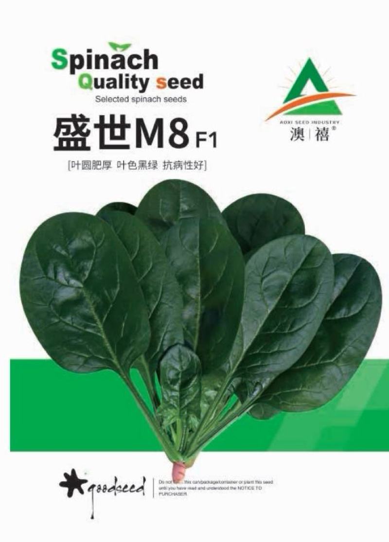 趴地菠菜种子四季波菜种籽大全秋季蔬菜种孑叶圆肥厚
