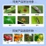22.4%螺虫乙酯悬浮剂柑橘果树介壳虫专用杀虫剂杀虫杀卵