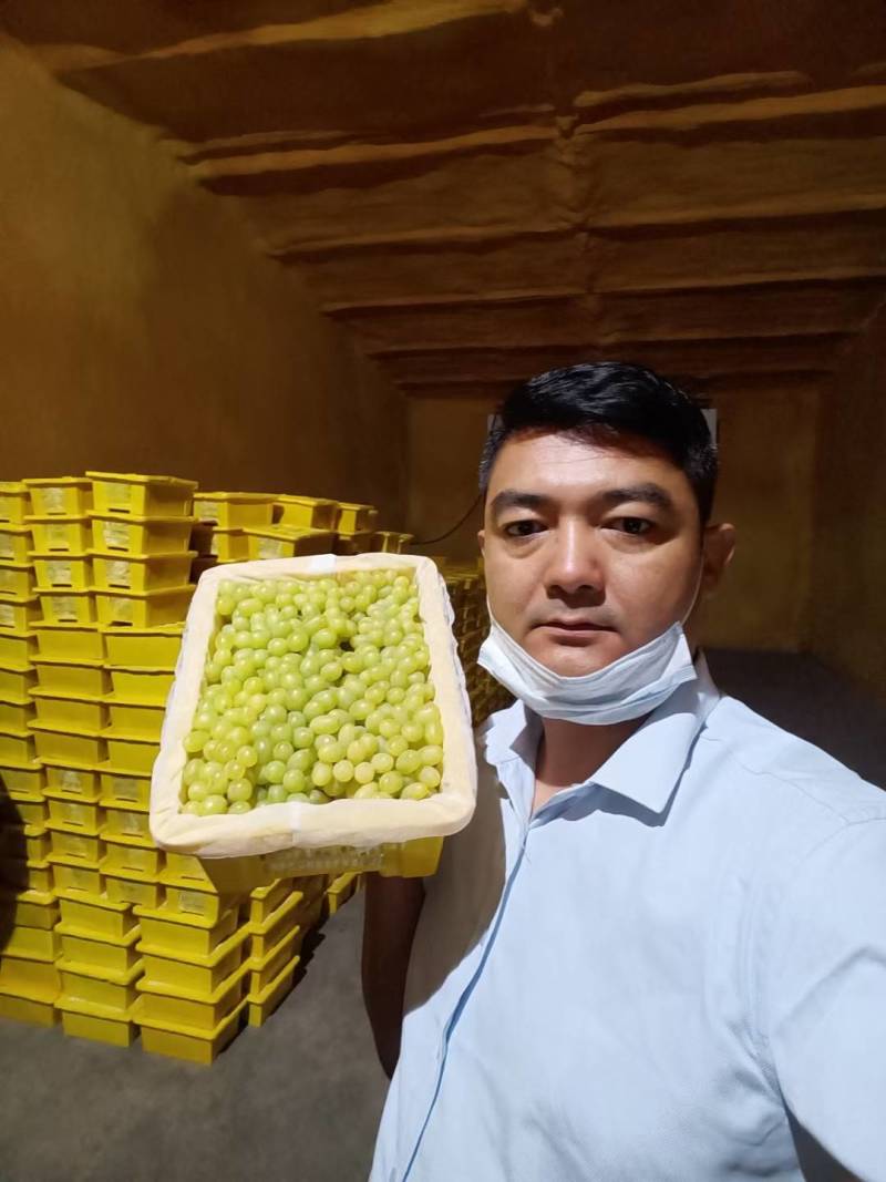 白无核小葡萄，新疆特产吐鲁番白无核，基地直发全国，专注品