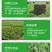 多年生紫花苜蓿种子猪牛羊兔鸡鸭鹅四季牧草苜蓿草鱼草种子