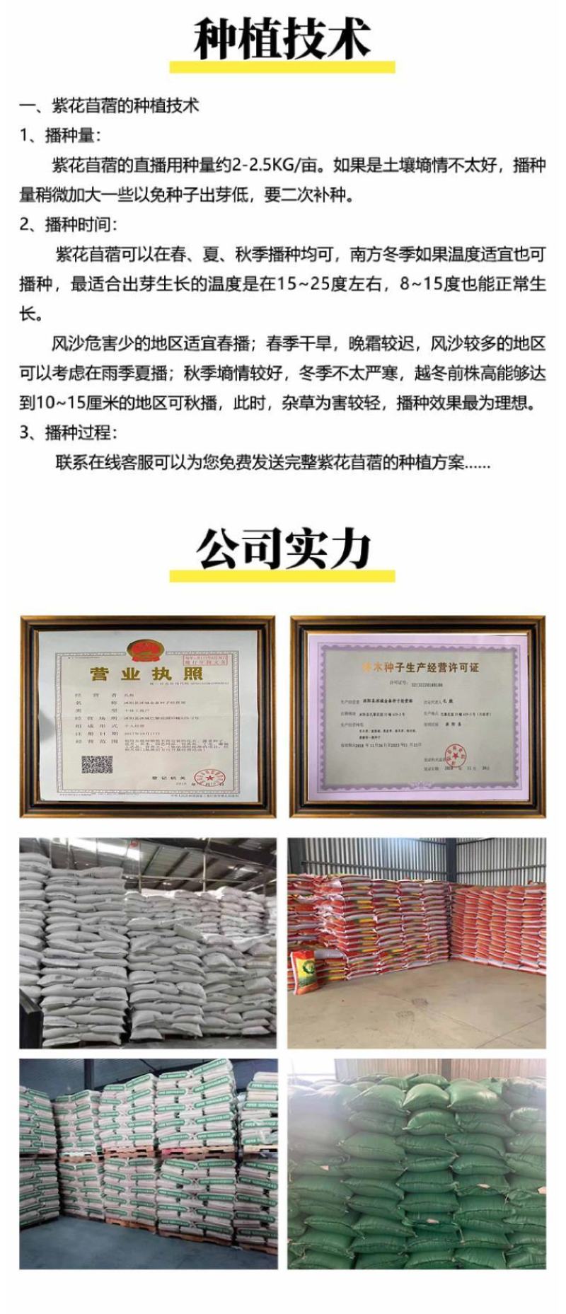 多年生紫花苜蓿种子猪牛羊兔鸡鸭鹅四季牧草苜蓿草鱼草种子