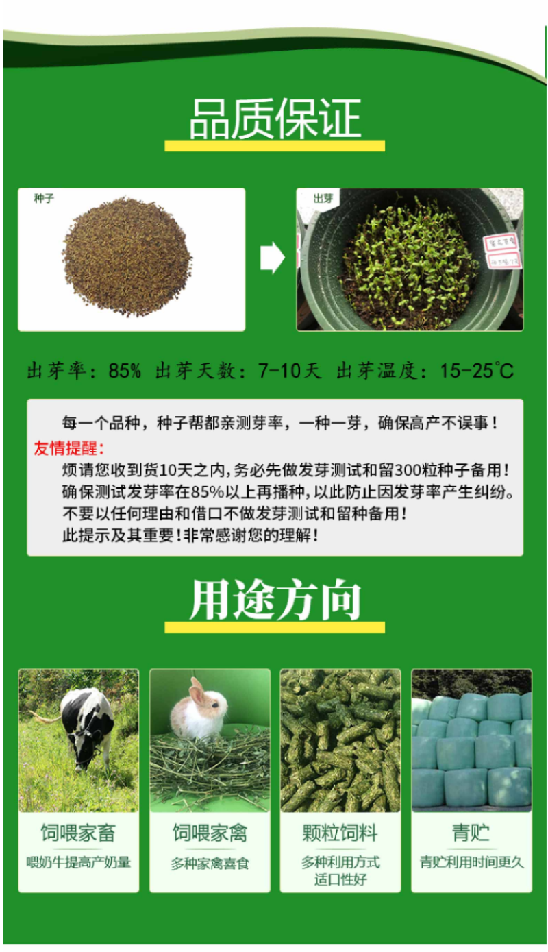 多年生紫花苜蓿种子猪牛羊兔鸡鸭鹅四季牧草苜蓿草鱼草种子
