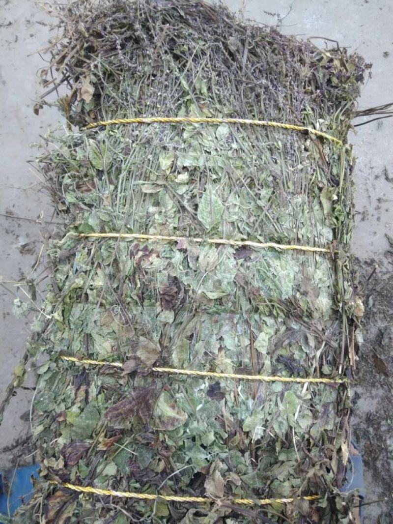 石见穿，干度好，杂草少，产地一手货源。