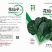 花仙子菠菜红根大叶菠菜种子四季蔬菜籽菜农种籽耐寒耐热菜种