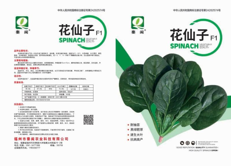 花仙子菠菜红根大叶菠菜种子四季蔬菜籽菜农种籽耐寒耐热菜种