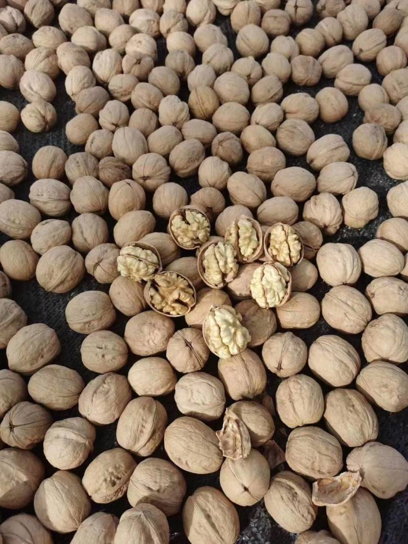 185新疆纸皮核桃老少皆宜诚信经营全国发货货源充足