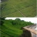 护坡草籽护坡大王护坡草坪种子四季常青护坡种子护坡固土草籽