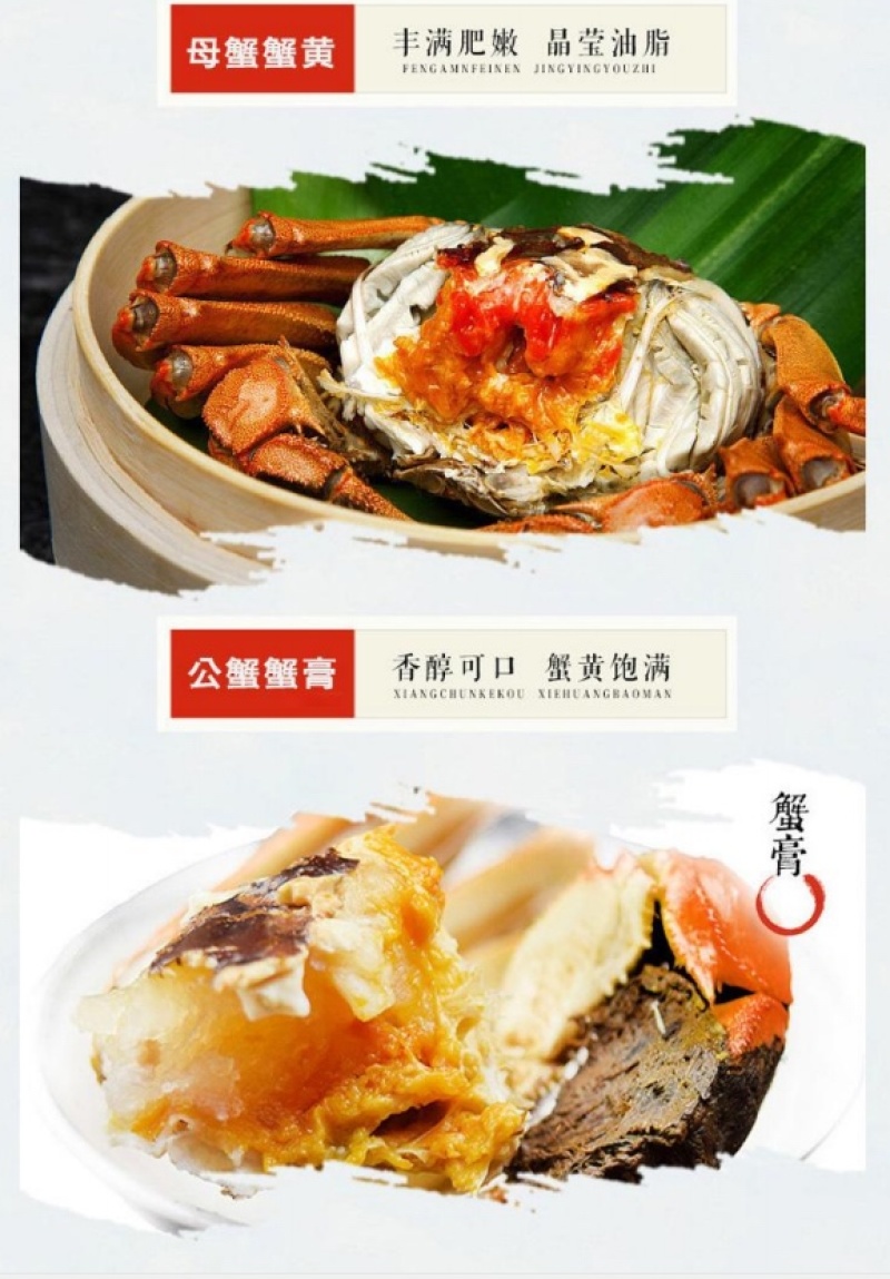 江苏产地阳澄湖镇大闸蟹礼盒装高端送礼顺丰直发