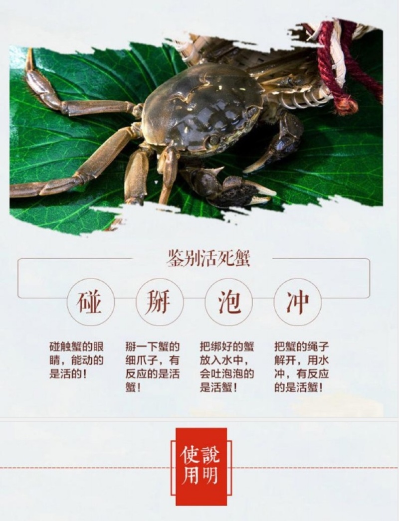 江苏产地阳澄湖镇大闸蟹礼盒装高端送礼顺丰直发