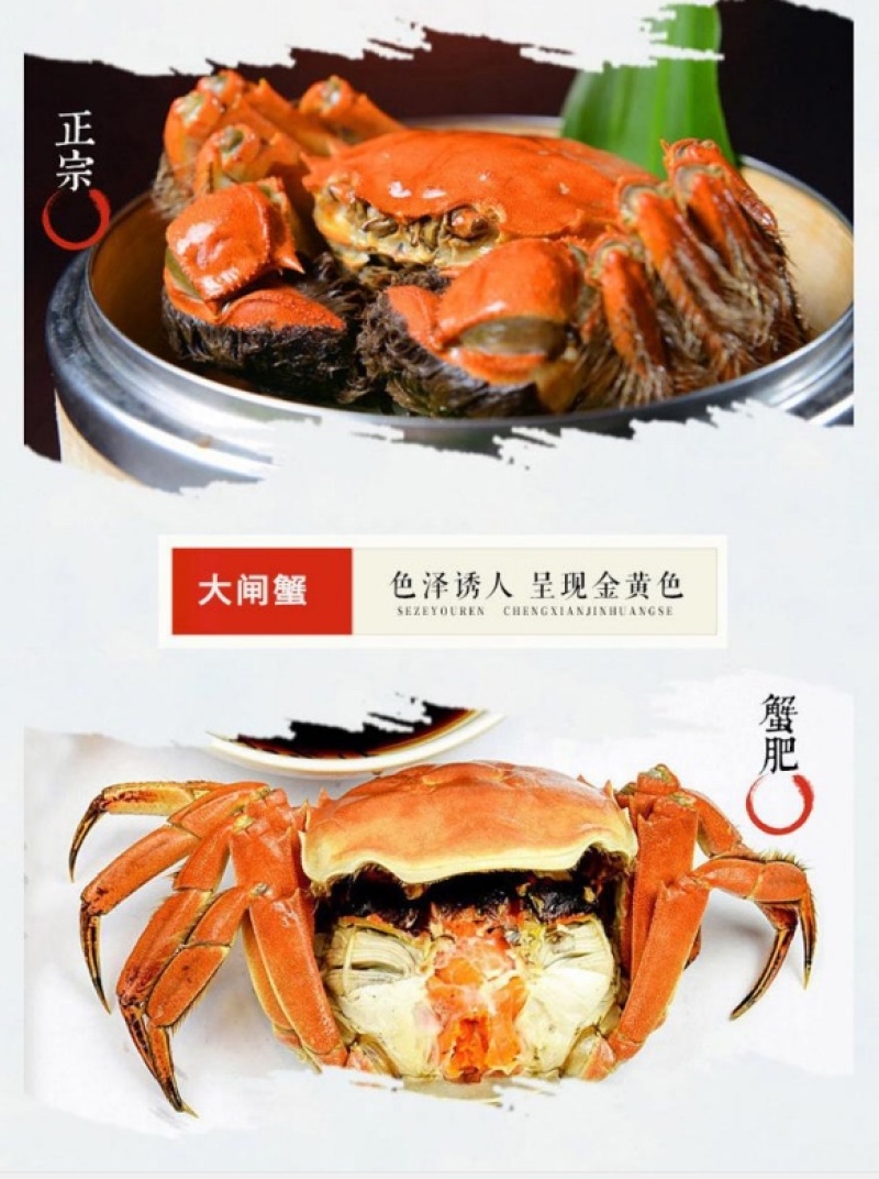 江苏产地阳澄湖镇大闸蟹礼盒装高端送礼顺丰直发