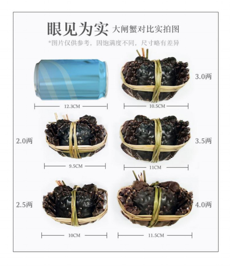 江苏产地阳澄湖镇大闸蟹礼盒装高端送礼顺丰直发