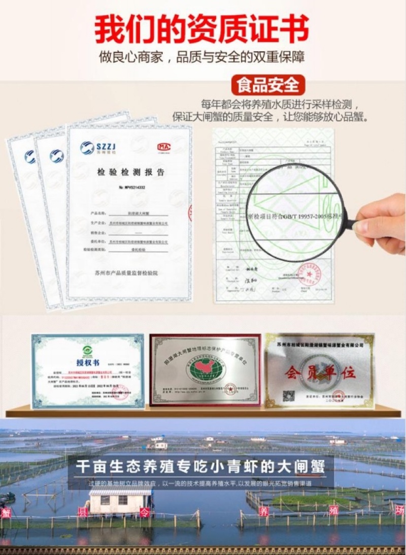 江苏产地阳澄湖镇大闸蟹礼盒装高端送礼顺丰直发