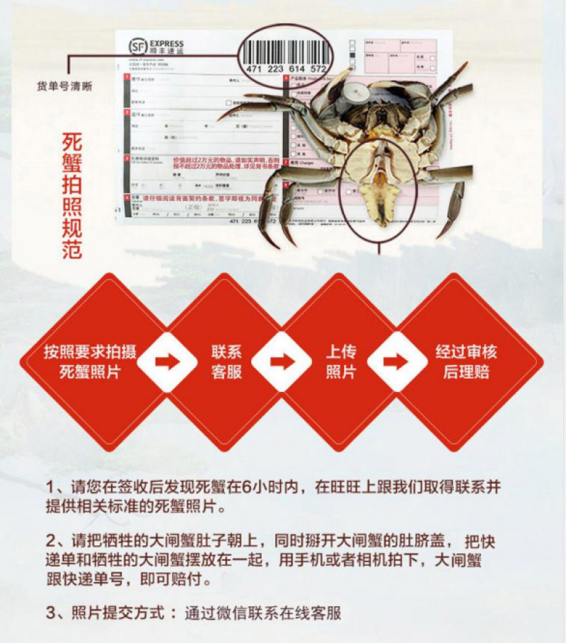 江苏产地阳澄湖镇大闸蟹礼盒装高端送礼顺丰直发