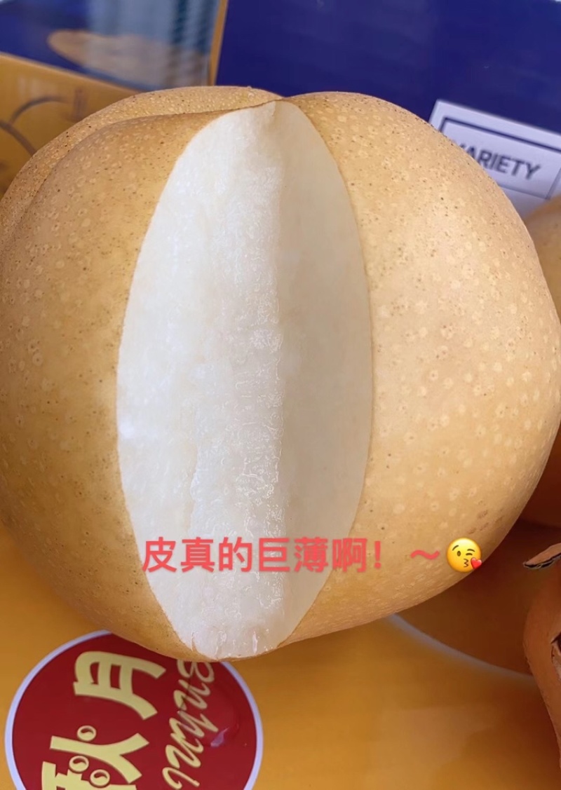 高品质秋月梨
