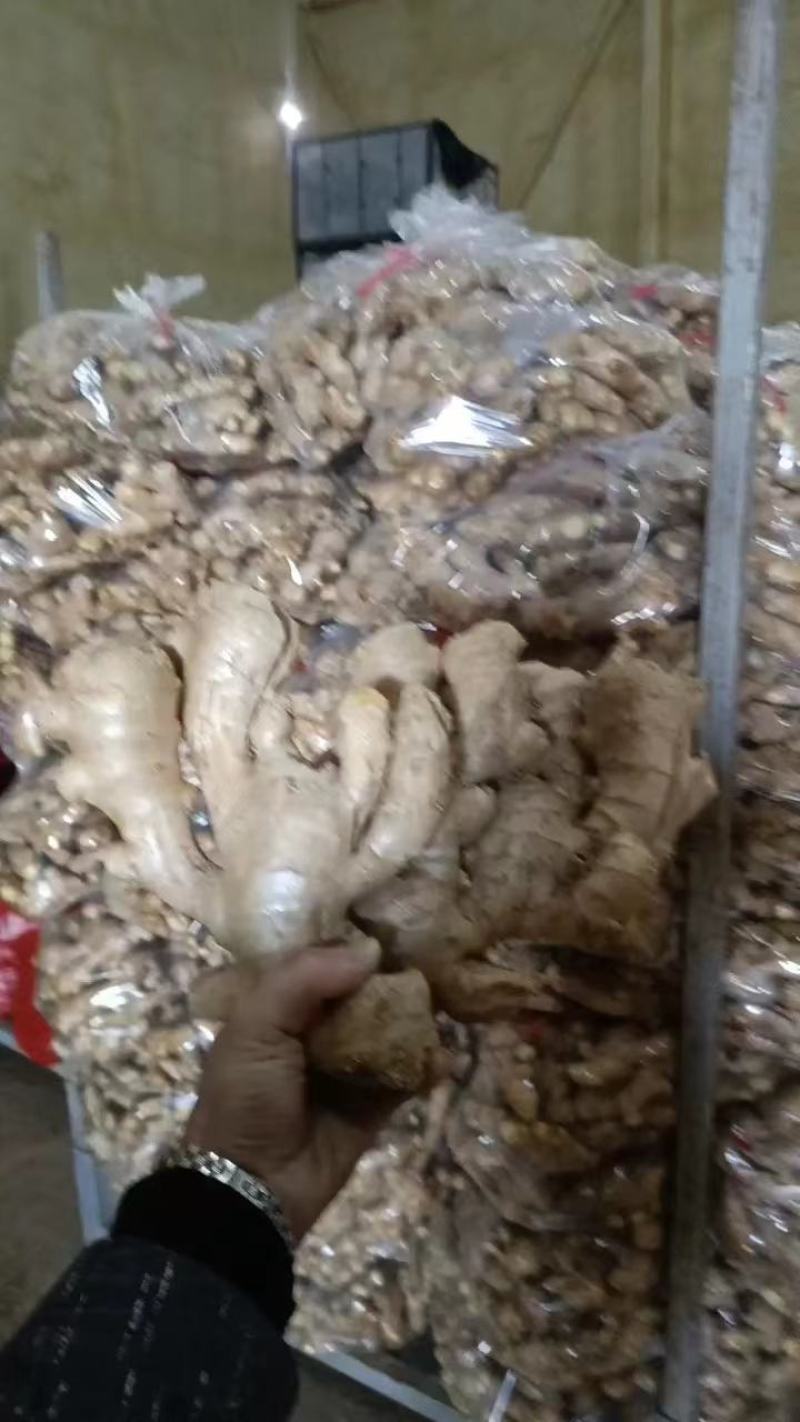 大黄姜，优质大黄姜小黄姜主产地大量供应保质保量支持电商