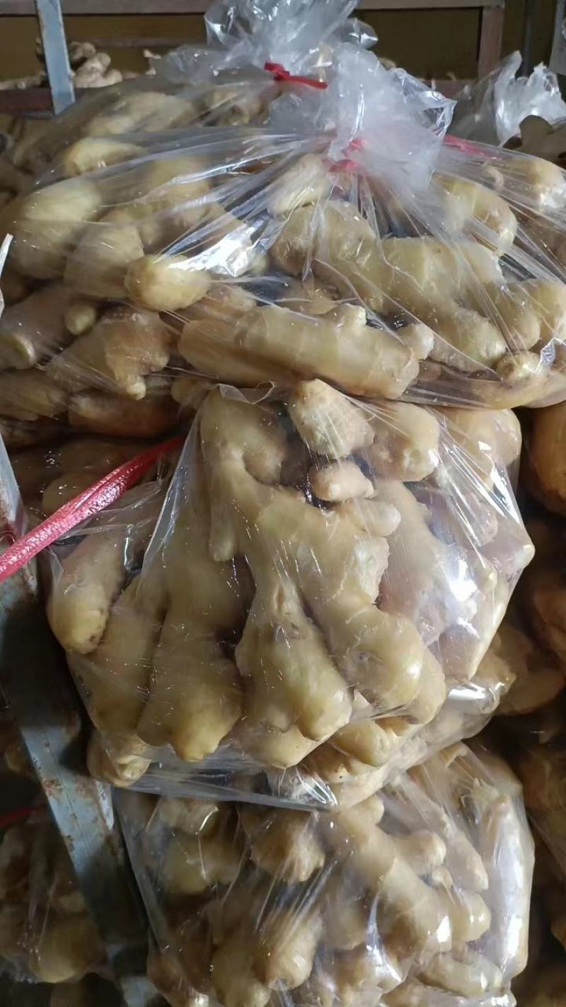 大黄姜，优质大黄姜小黄姜主产地大量供应保质保量支持电商