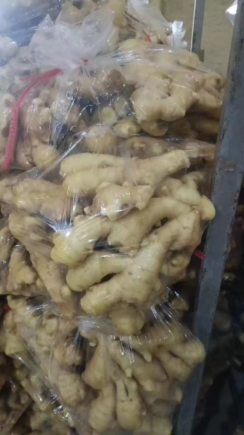 大黄姜，优质大黄姜小黄姜主产地大量供应保质保量支持电商