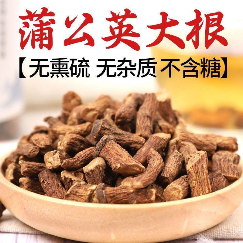 蒲公英根纯根各种规格炒制批发出售