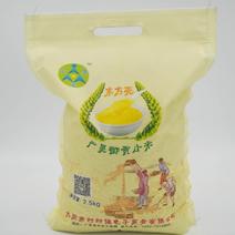 山西大同特产黄小米，22年新小米厂家货源支持批发零售软糯