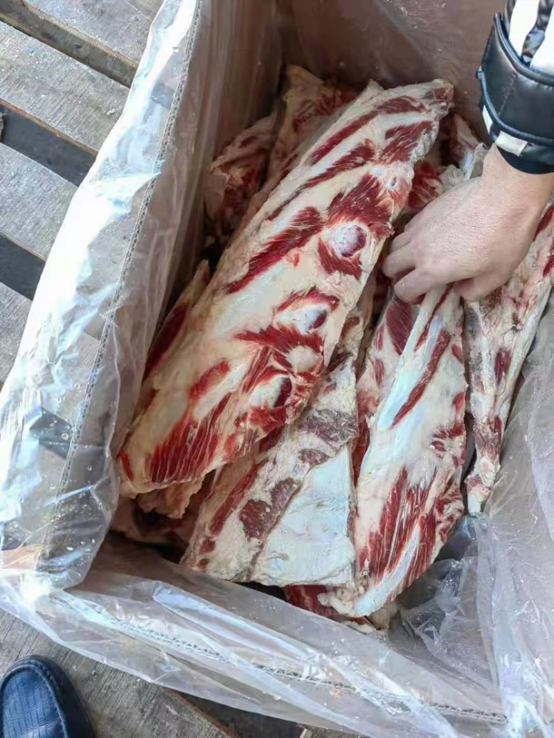 【厂家直发】燕翅骨牛燕翅骨凤翅多肉燕翅骨贴骨肉