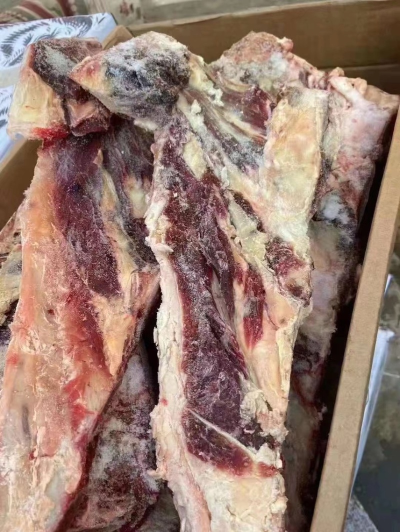 【厂家直发】燕翅骨牛燕翅骨凤翅多肉燕翅骨贴骨肉