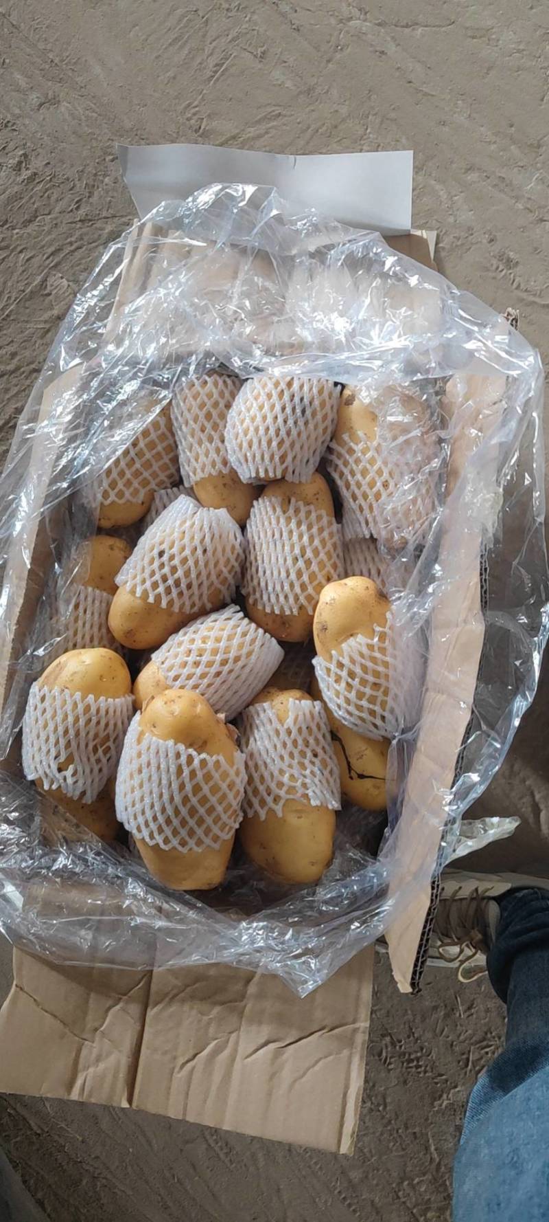 山东滕州土豆，精品黄心土豆，大量供应，对接加工厂食堂