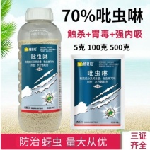 农药批发70%吡虫啉水分散粒剂甘蓝蚜虫杀虫剂农药店