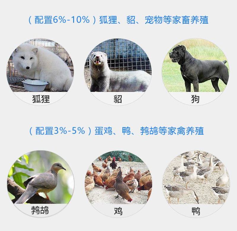 国产鱼粉饲料鸡鸭鹅猪以及水产鱼虾垂钓宠物养殖鱼粉饲料