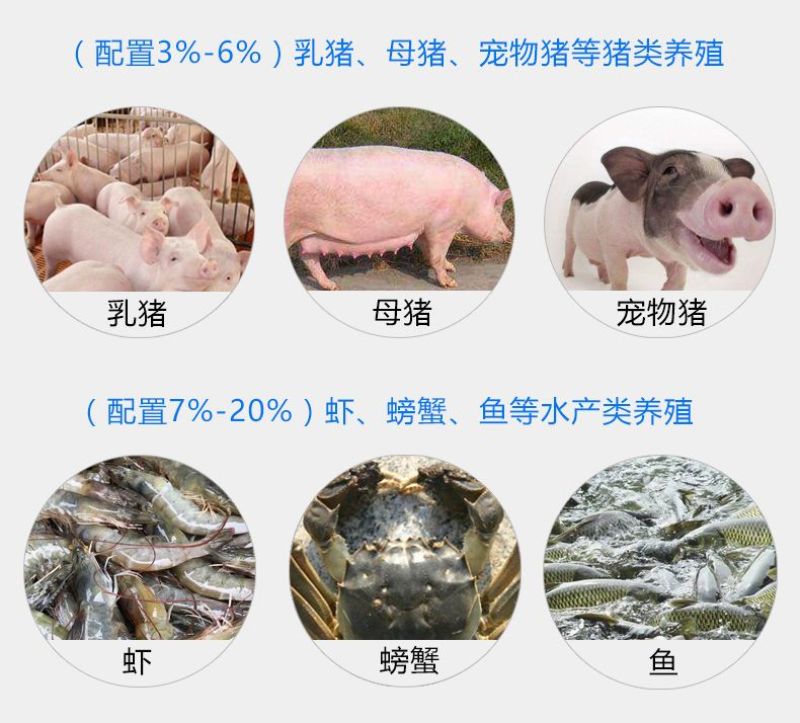 国产鱼粉饲料鸡鸭鹅猪以及水产鱼虾垂钓宠物养殖鱼粉饲料