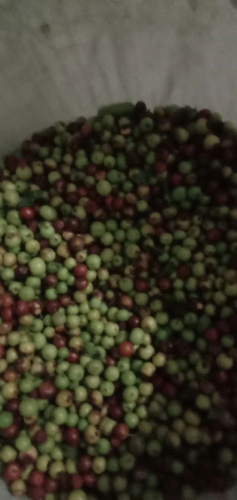 酸枣