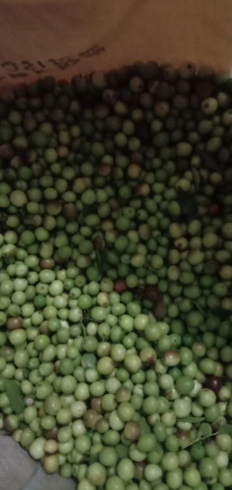酸枣