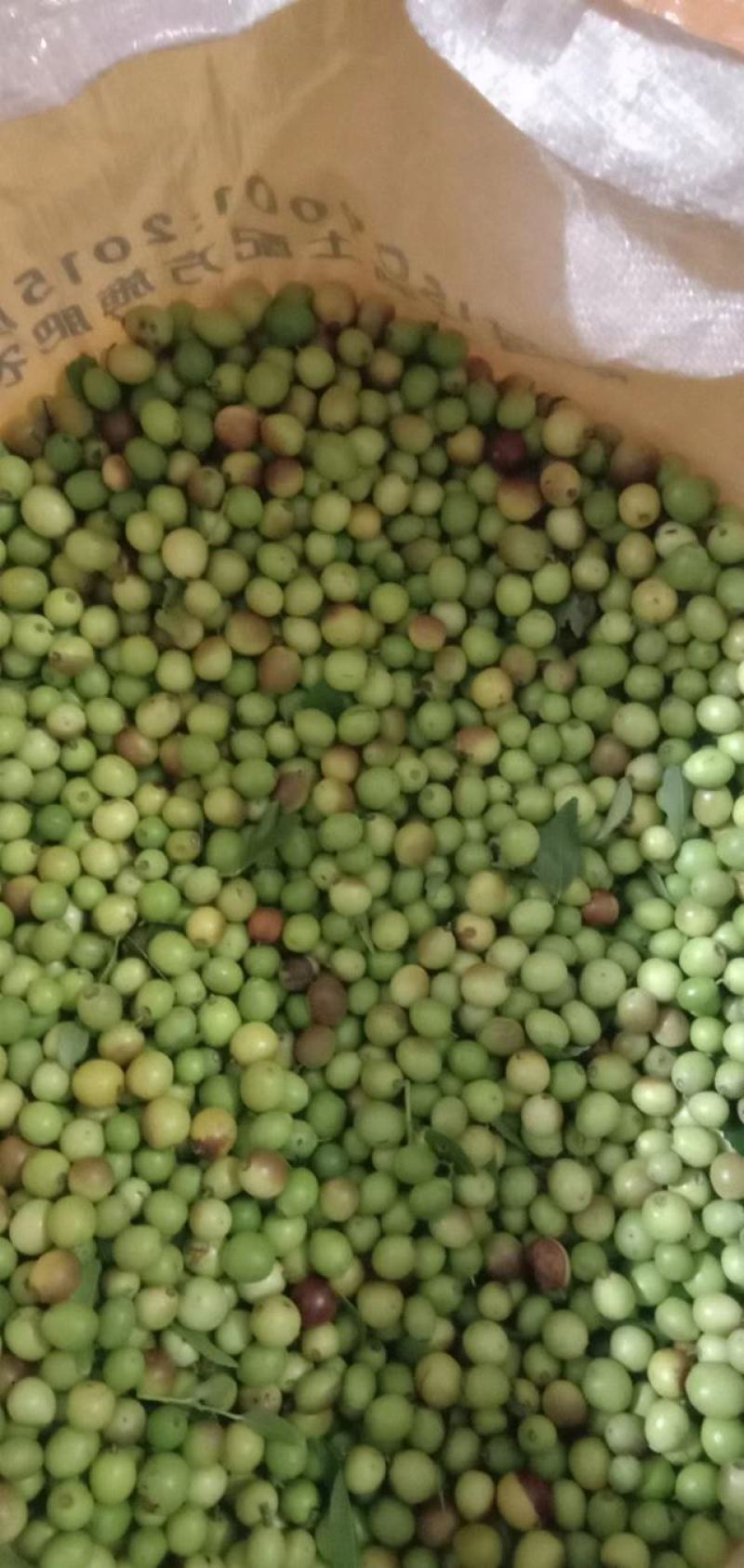 酸枣