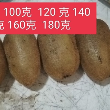 湘西米良一号猕猴桃