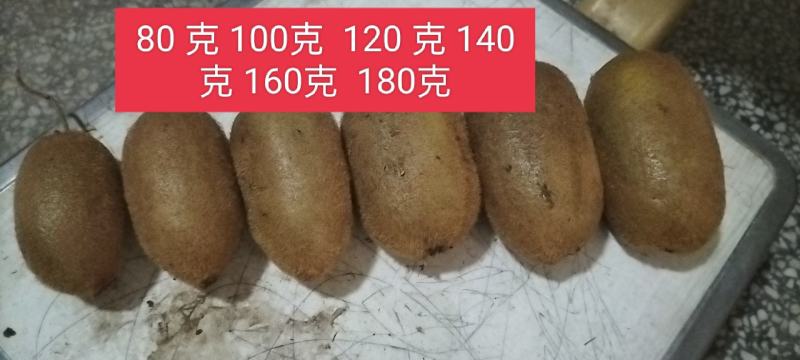 湘西米良一号猕猴桃