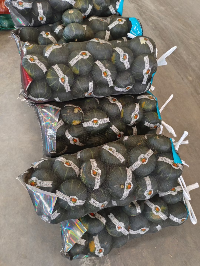 精品贝贝南瓜