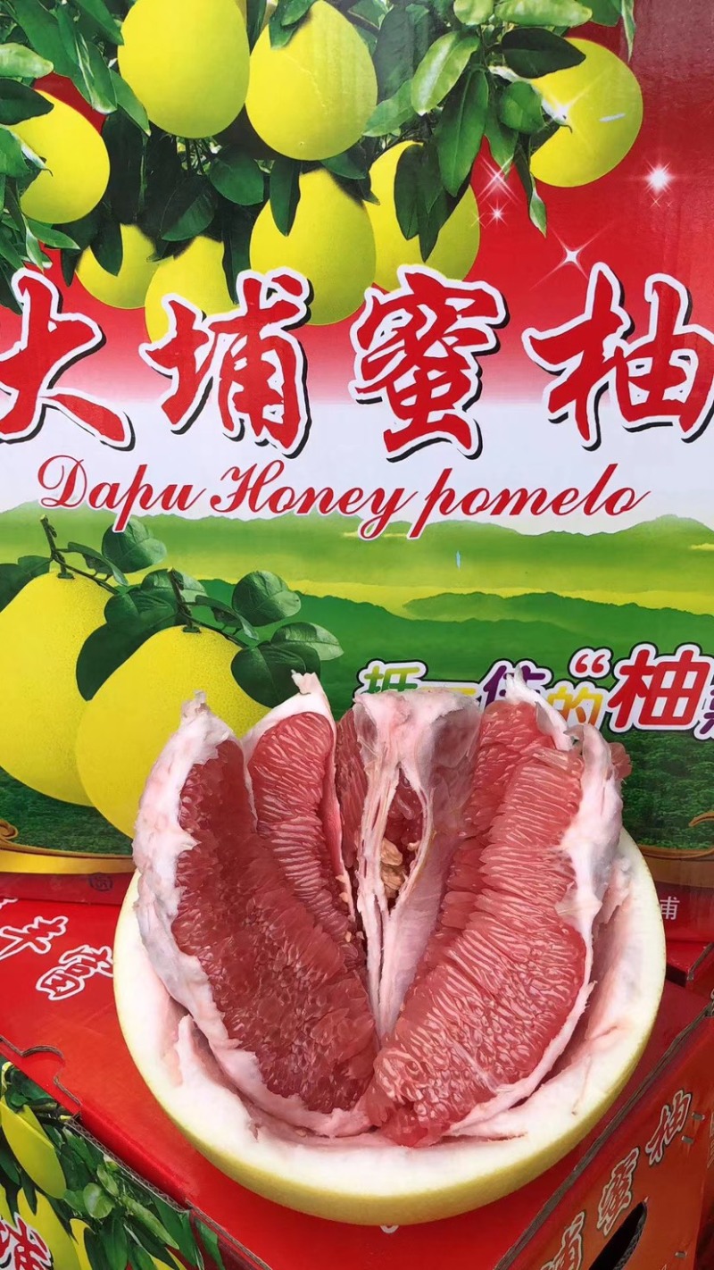 梅州大埔三红蜜柚
