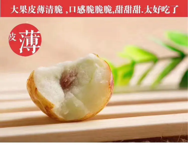 山东沾化冬枣，大量供货，支持一件代发对接电商，代理商