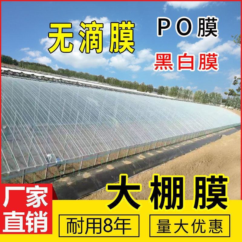 五层共挤PO膜大棚膜批发抗老化无滴膜蔬菜棚食用菌种植塑料