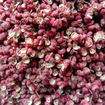 陕西大红袍干梅花花椒，无杂，去杆，去籽，纯净颗粒