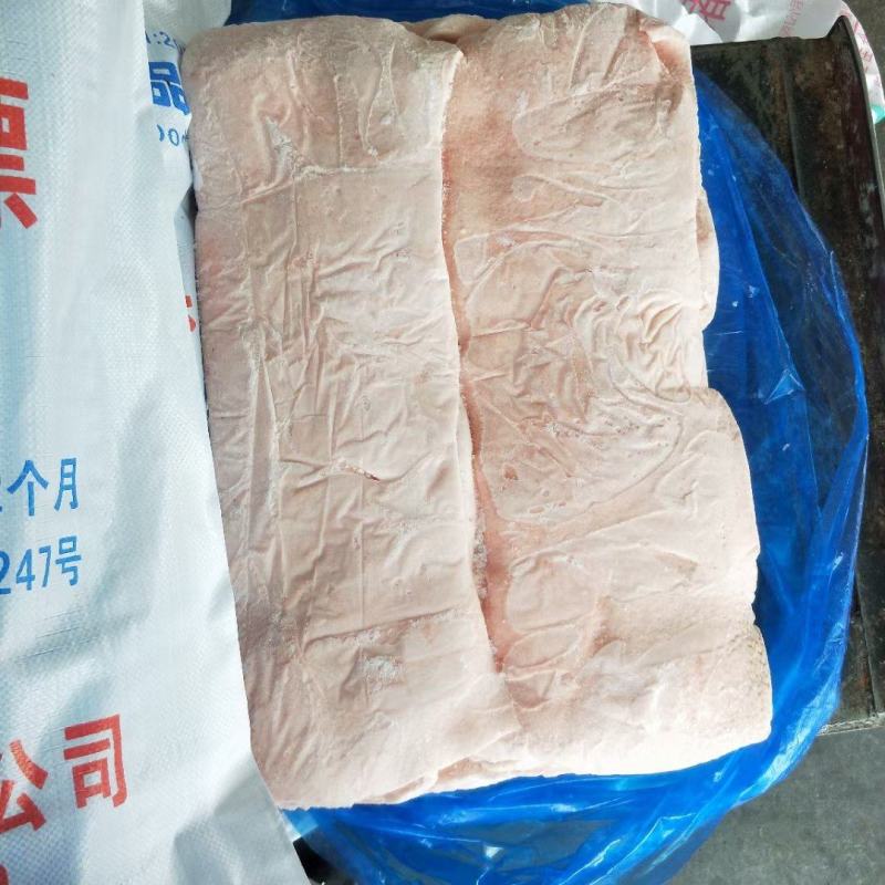 母猪肥膘
